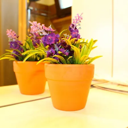 Apartman Casale Orioles Torretta
