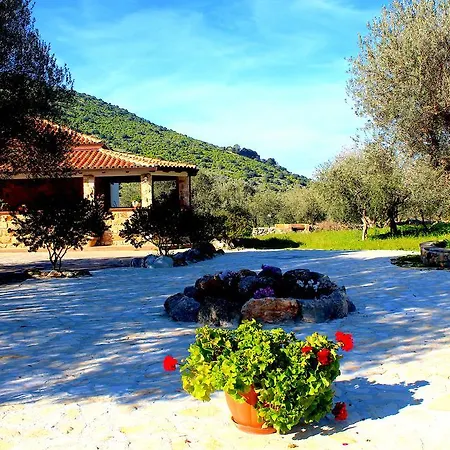 Διαμέρισμα Casale Orioles *